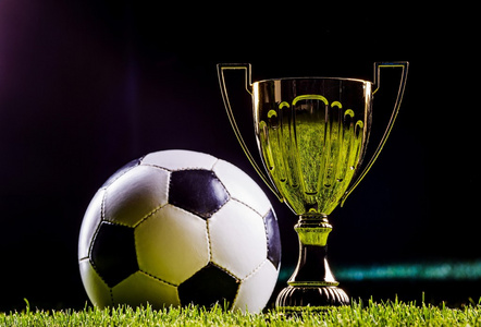 不仅增强了 不仅增强了